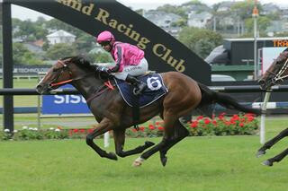 Imelda Mary (NZ) Captures Fifth Leg of NZB Filly of the Year Series. Photo: Trish Dunell.